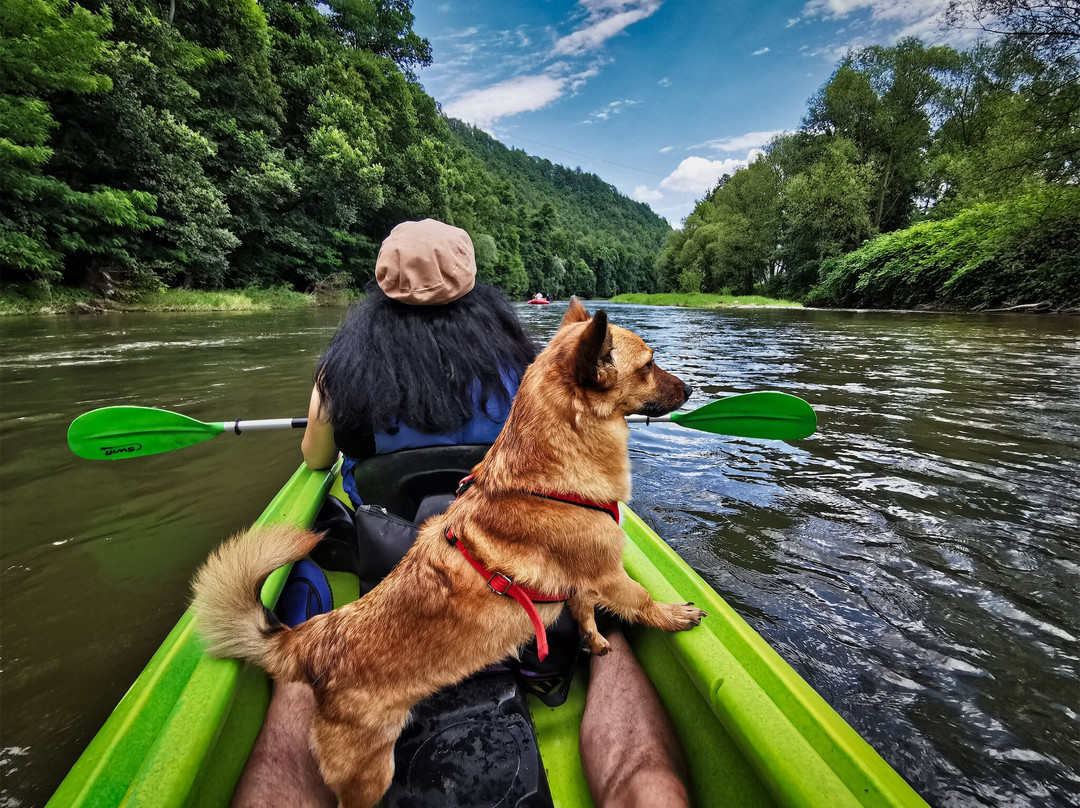 Rafting Bardo景点图片