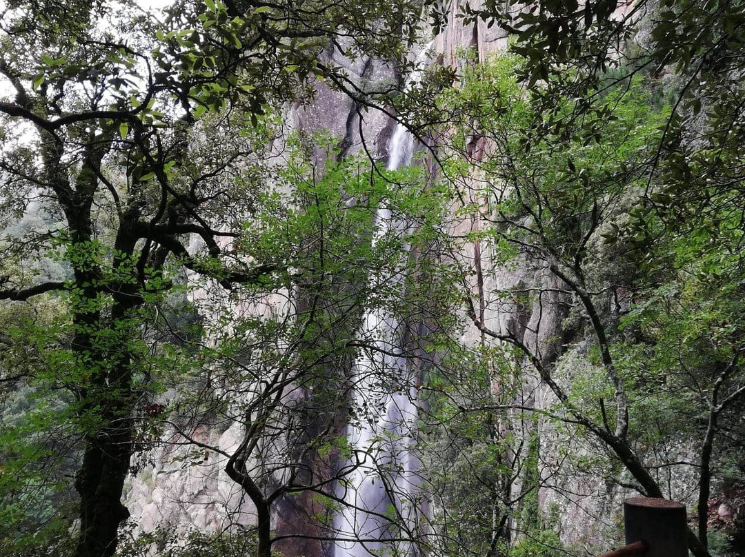 Cascade de Piscia景点图片