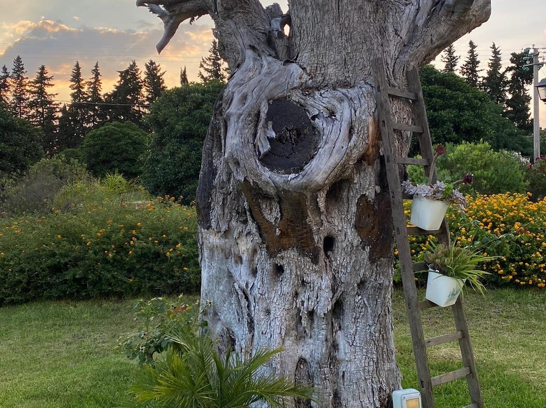 Il Giardino di Sicilia Agriturismo主图