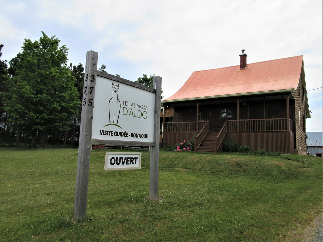 Ferme Fibres et Compagnie-Saint-Alexandre-de-Kamouraska必去景点