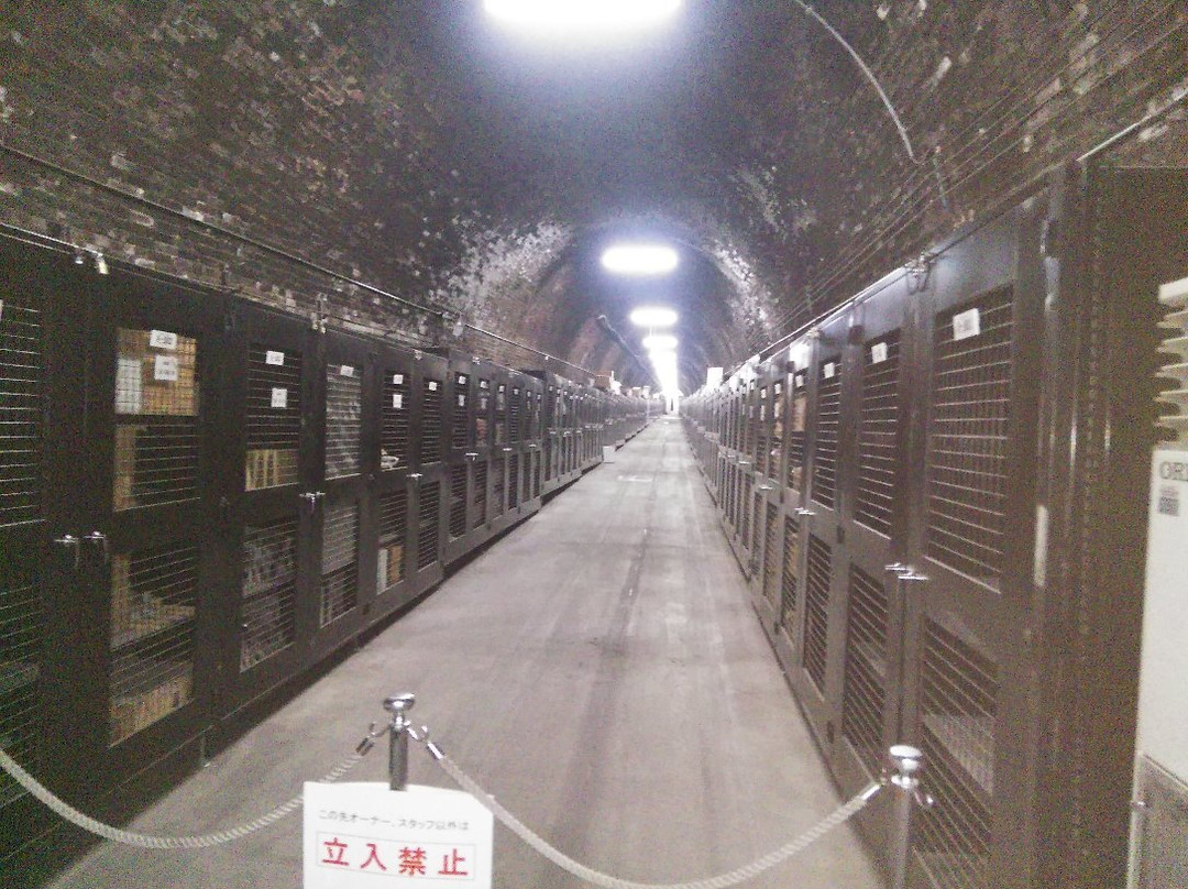 Tunnel Wine Carve景点图片