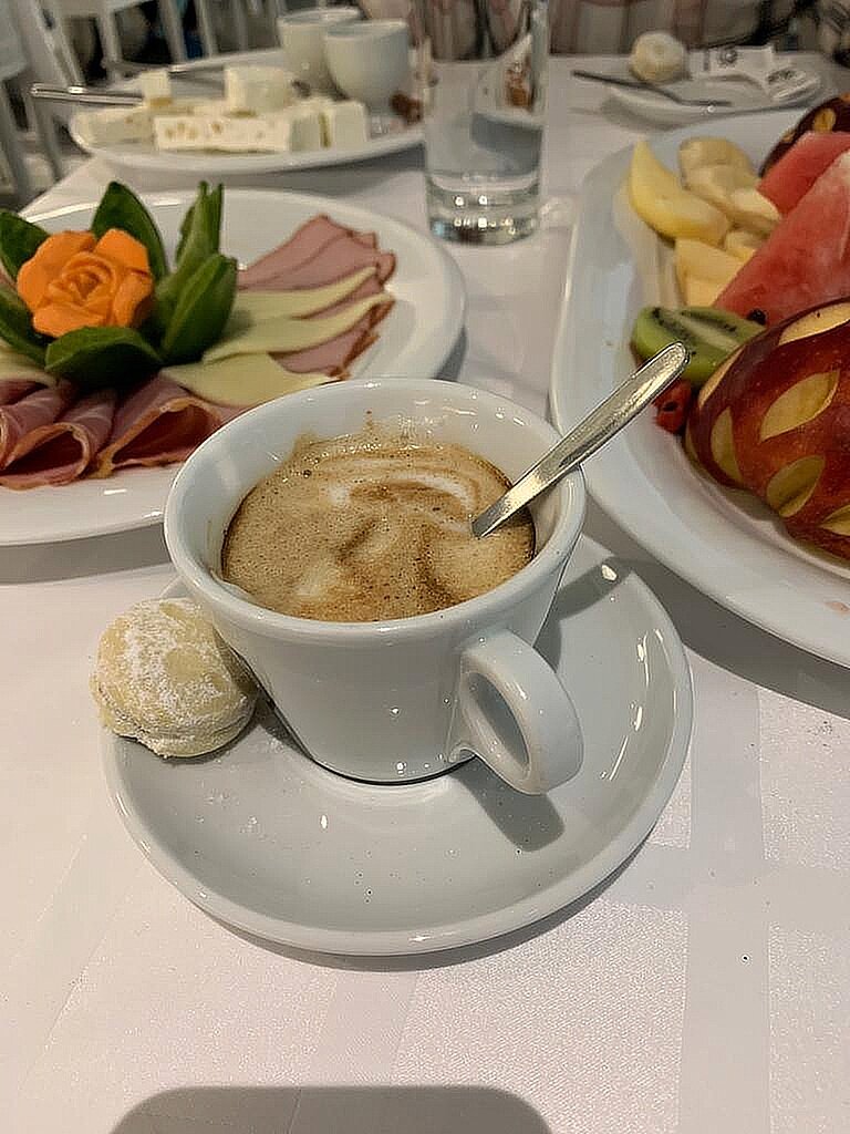 Hotel Fontana Vrnjačka Banja-餐饮