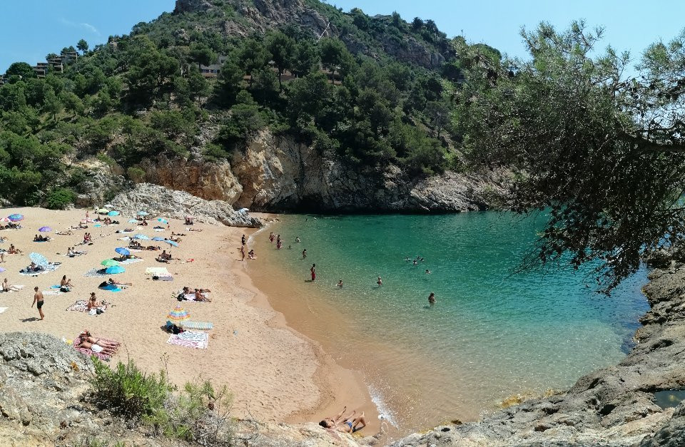 Cala Pola景点图片