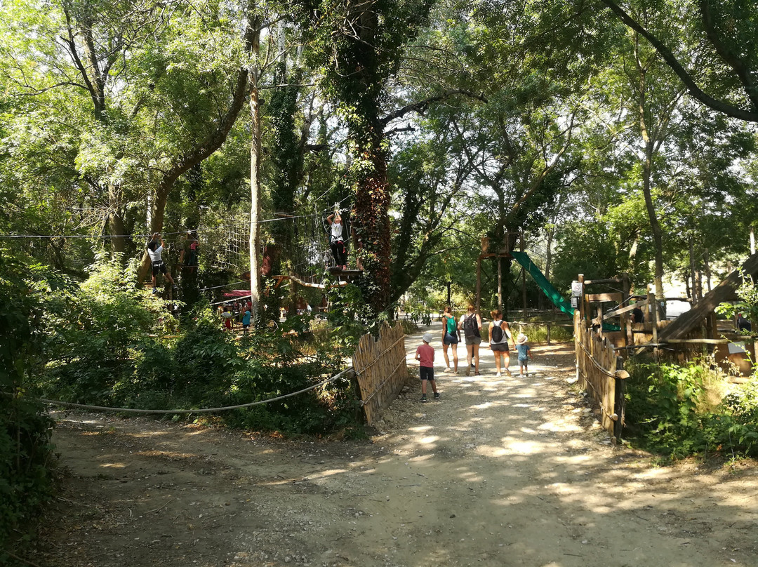 Vert'tige Aventure景点图片