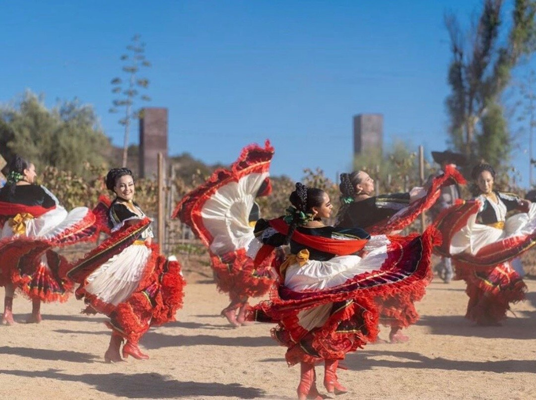 Experiencias baja tours & actividades景点图片