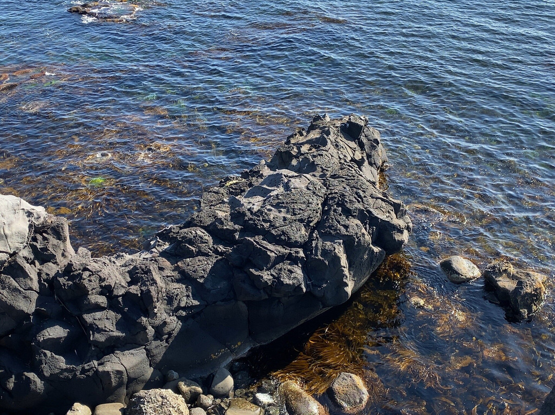 Neguma no Iwa-利尻町必去景点