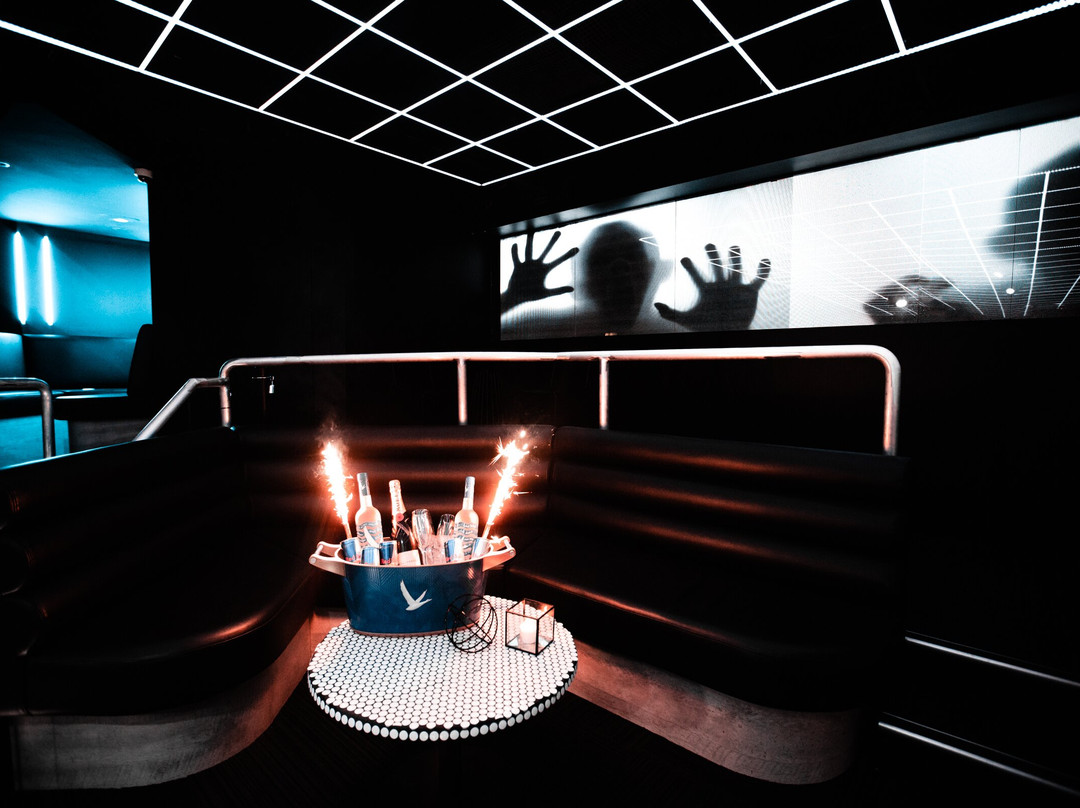 Asylum Gold Coast-黄金海岸必去景点