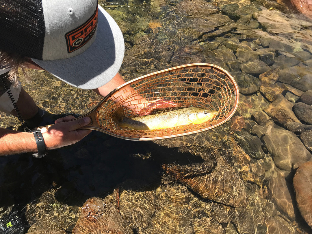 Telluride Flyfishers-特柳赖德必去景点