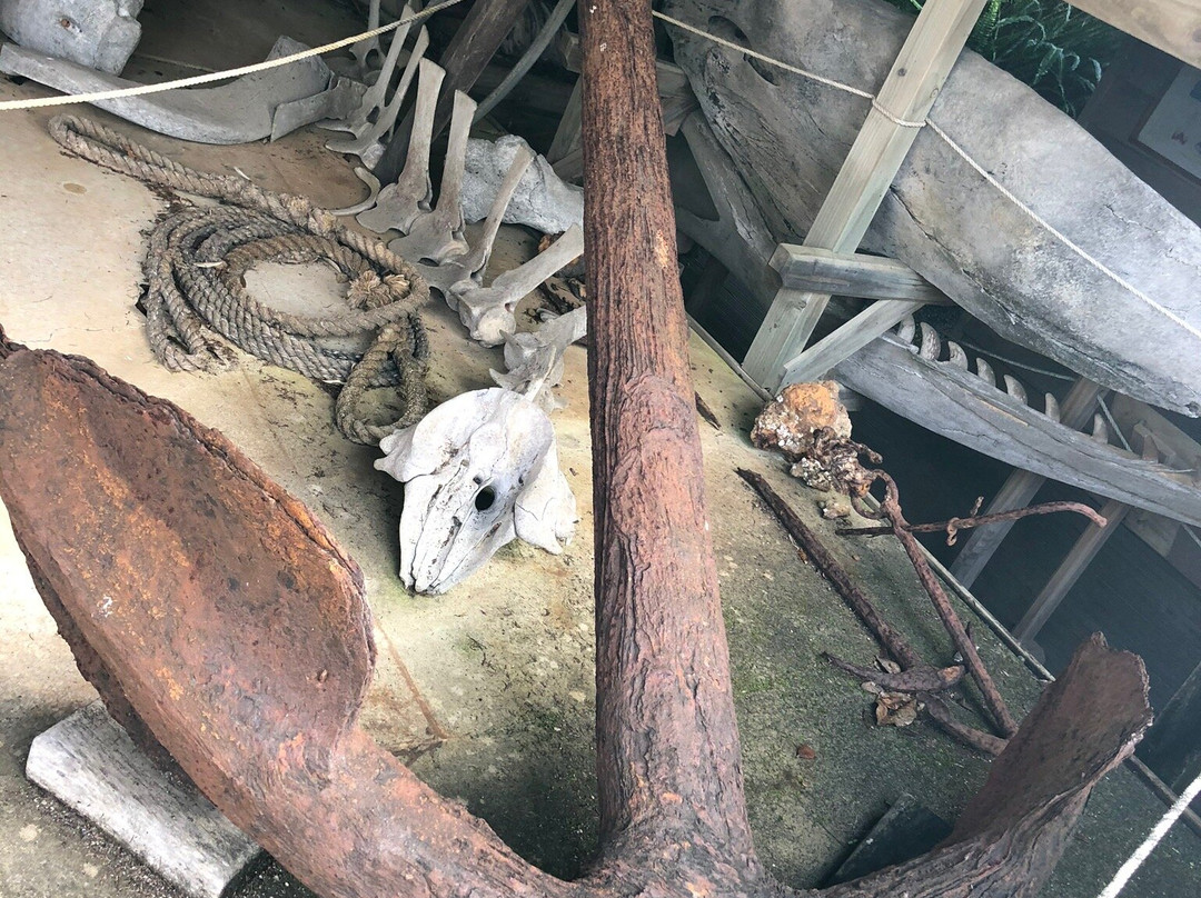 Butler Point Whaling Museum-Mangonui必去景点