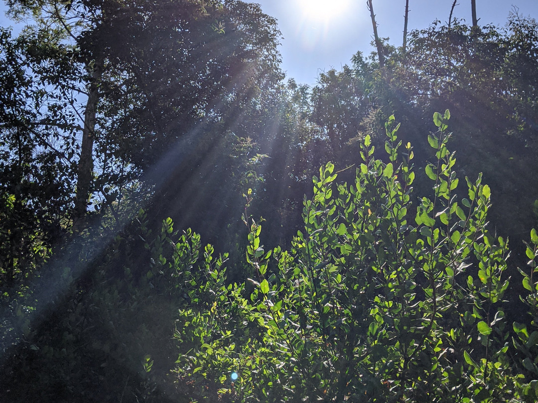 El Dorado Nature Center-长滩必去景点