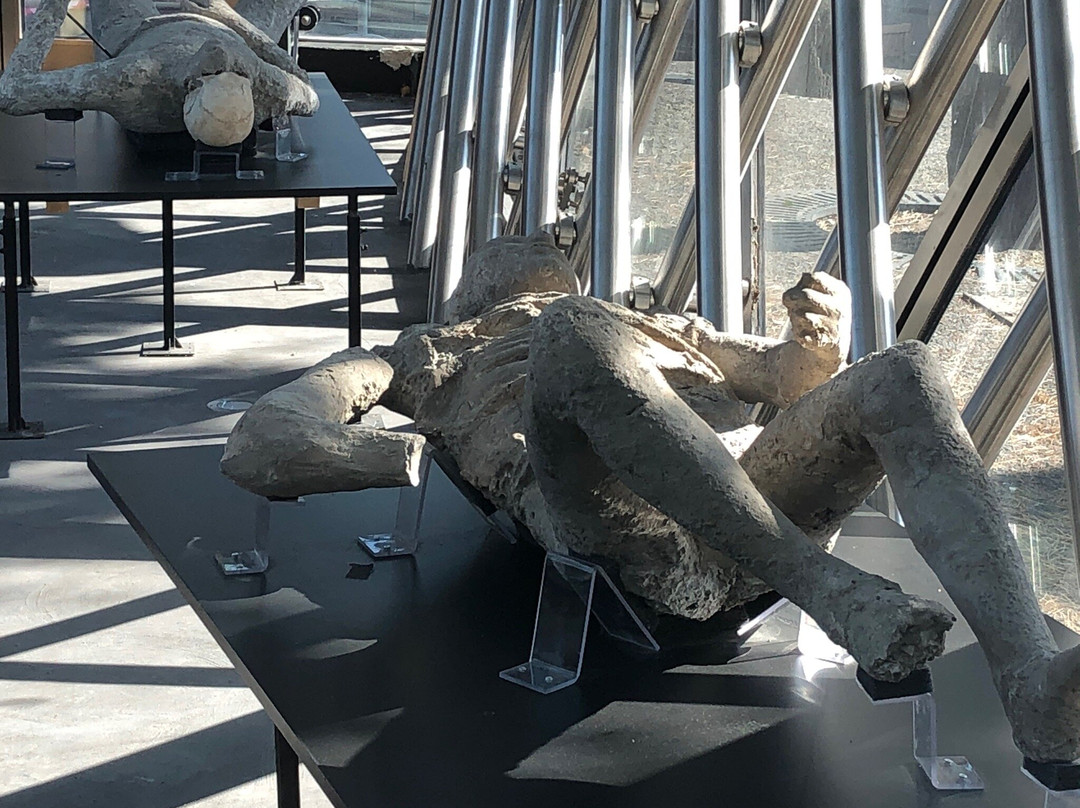 Museo Vesuviano Giovan Battista Alfano-庞贝必去景点