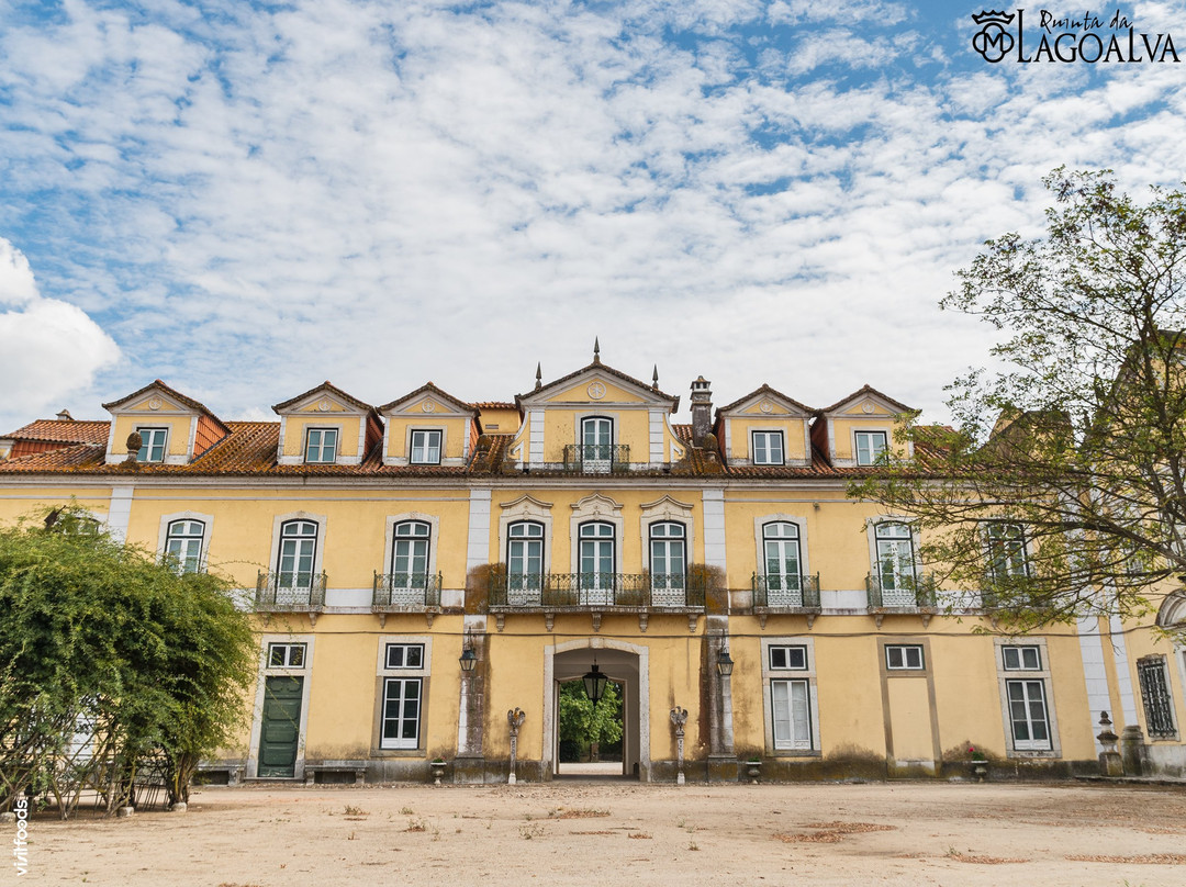 Quinta da Lagoalva de Cima景点图片