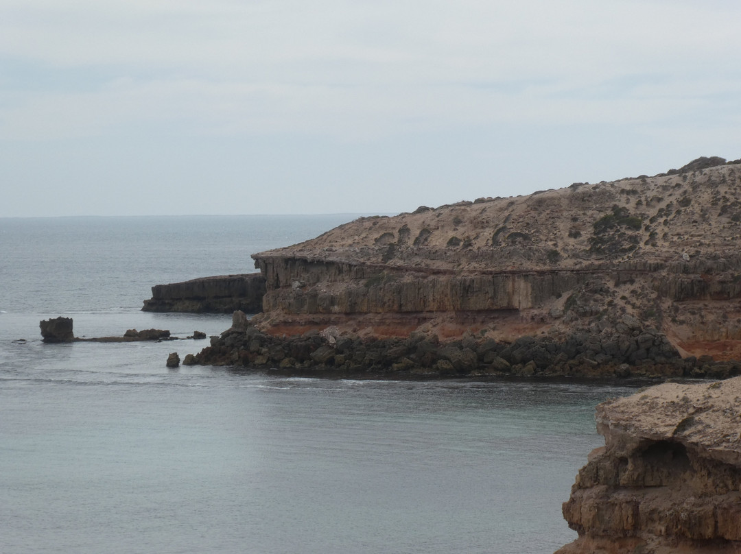 Cape Bauer Loop Drive-Streaky Bay必去景点