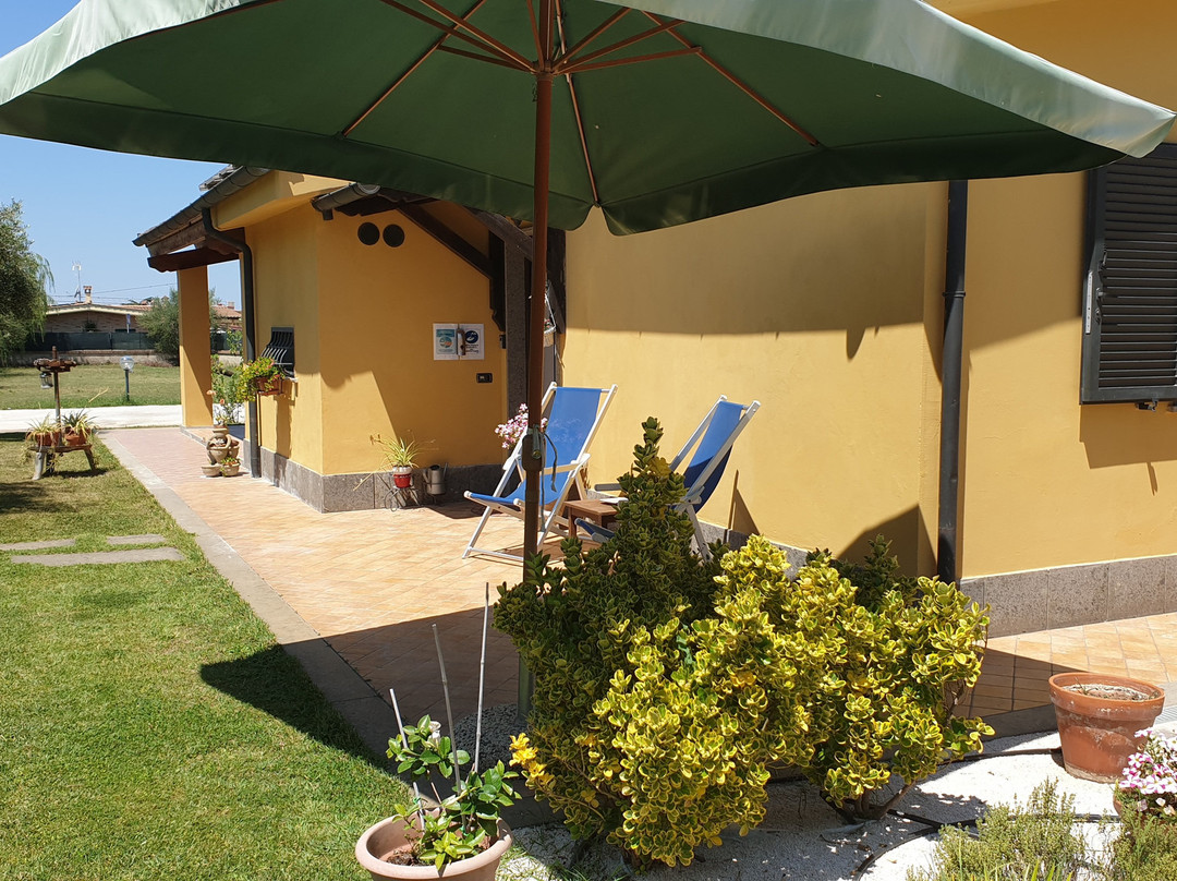L'Antico Vigneto Guest House主图