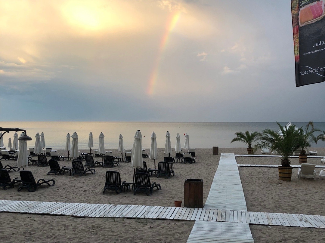 Oasis Beach Club主图