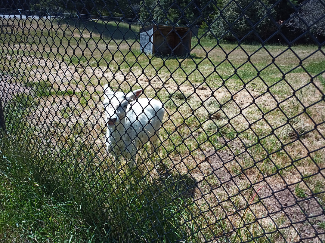 Mount Madonna County Park-沃森维尔必去景点