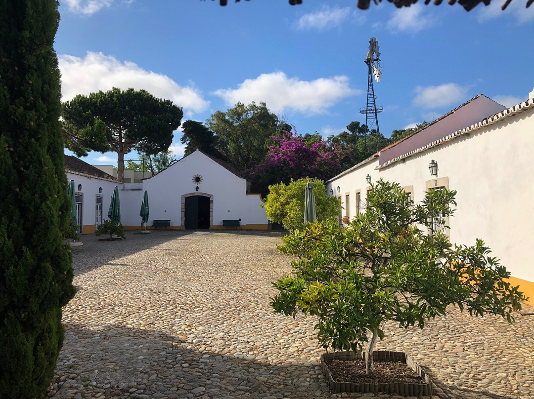 Quinta da Praia das Fontes主图