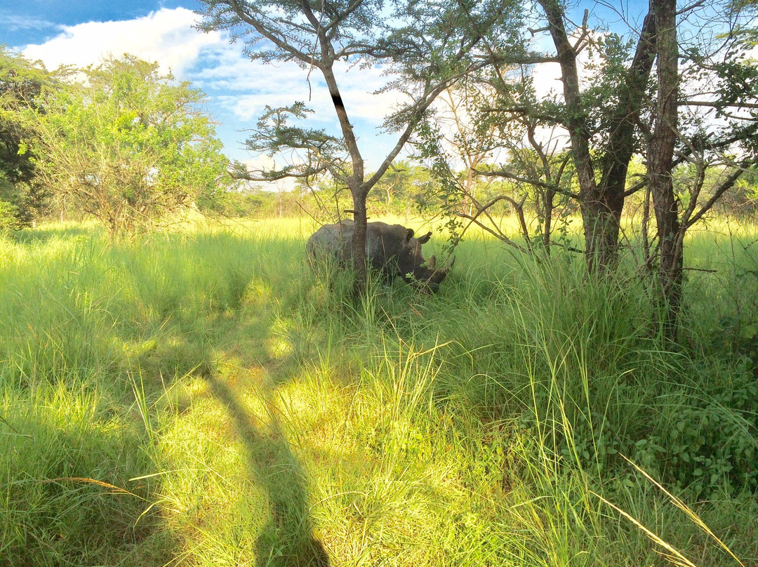 Rhino Fund Uganda-Nakitoma必去景点