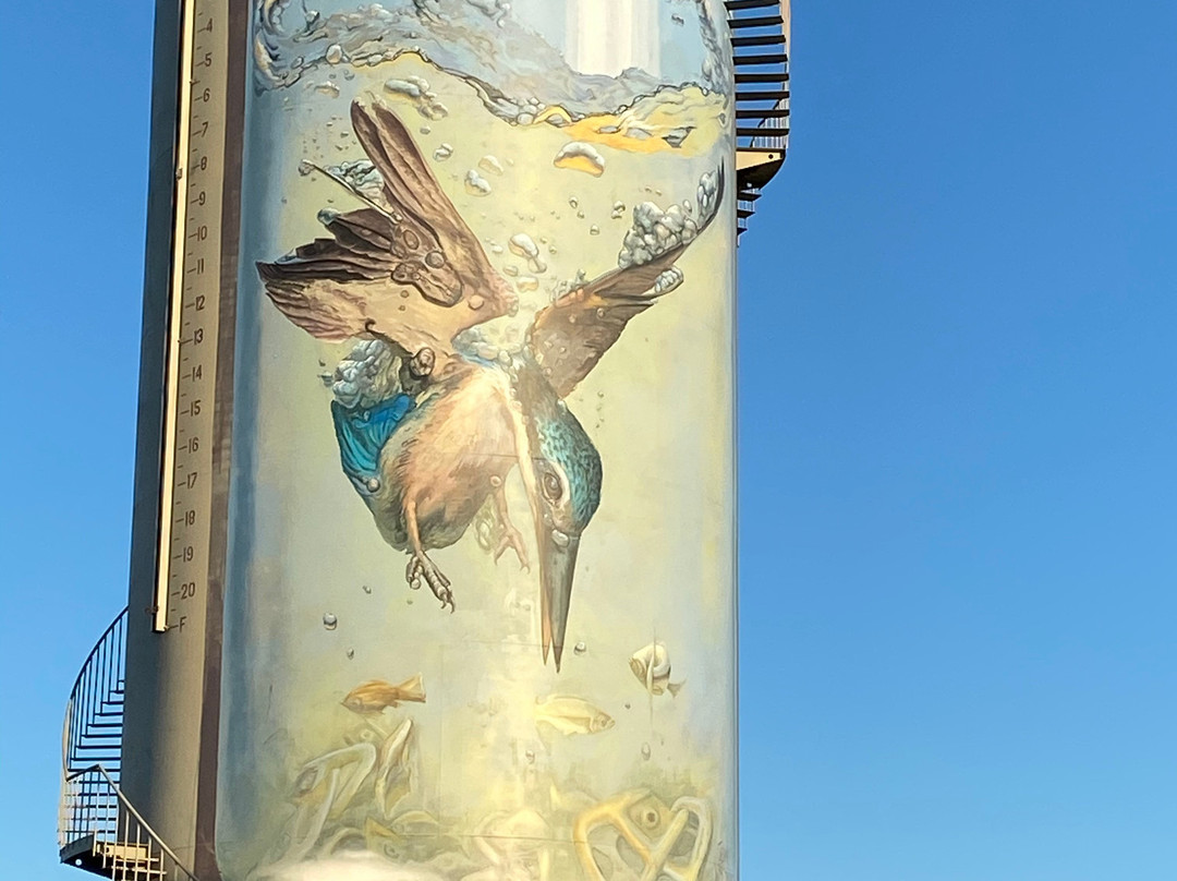 Gulargambone Water Tower Art-Gulargambone必去景点