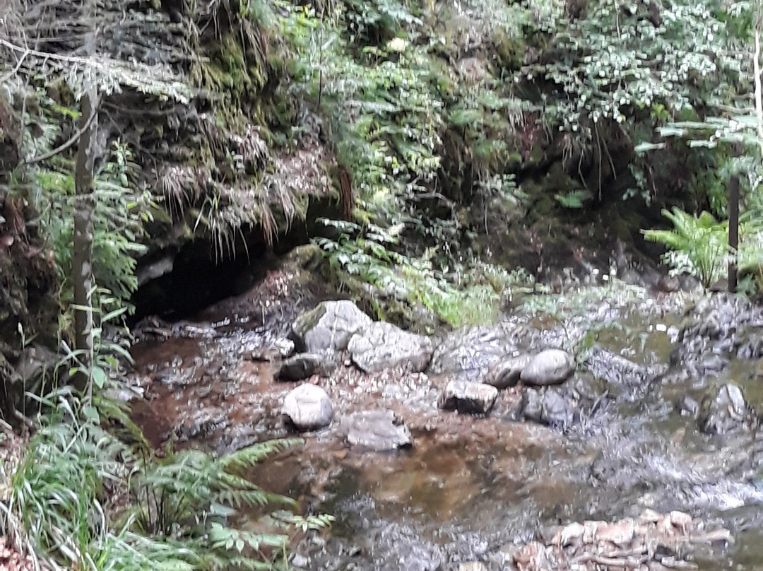 Todtmoos Waterfall-Todtmoos必去景点