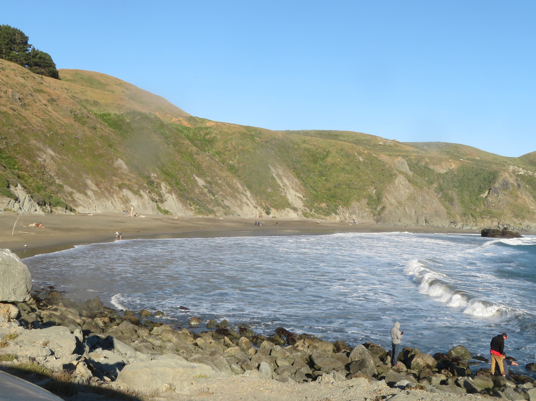 Goat Rock Beach景点图片