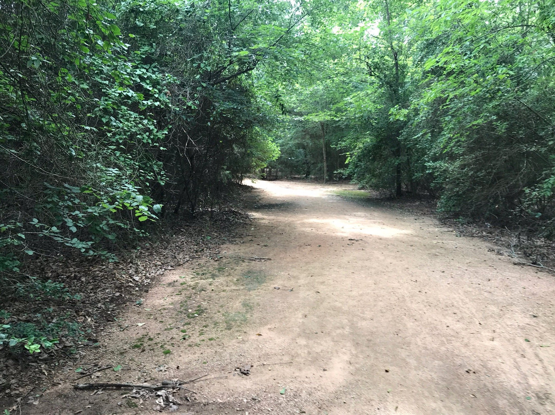 Unity Park-Magnolia必去景点