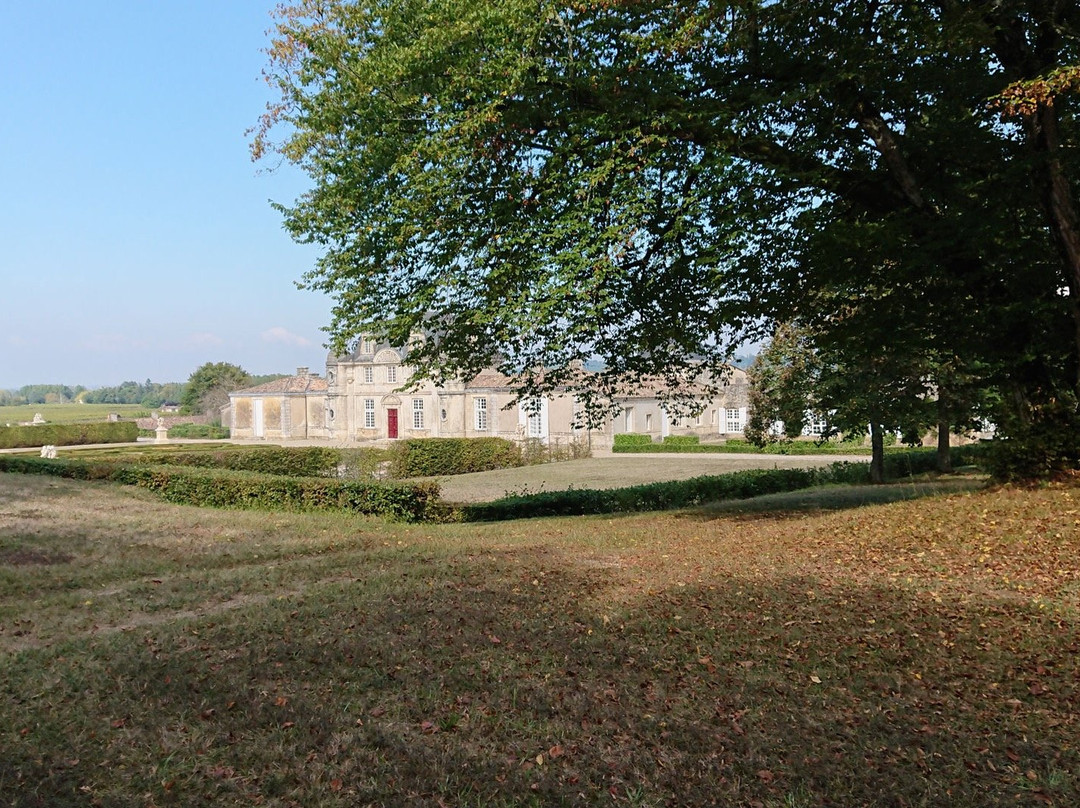 Bacchus Tours-波尔多必去景点