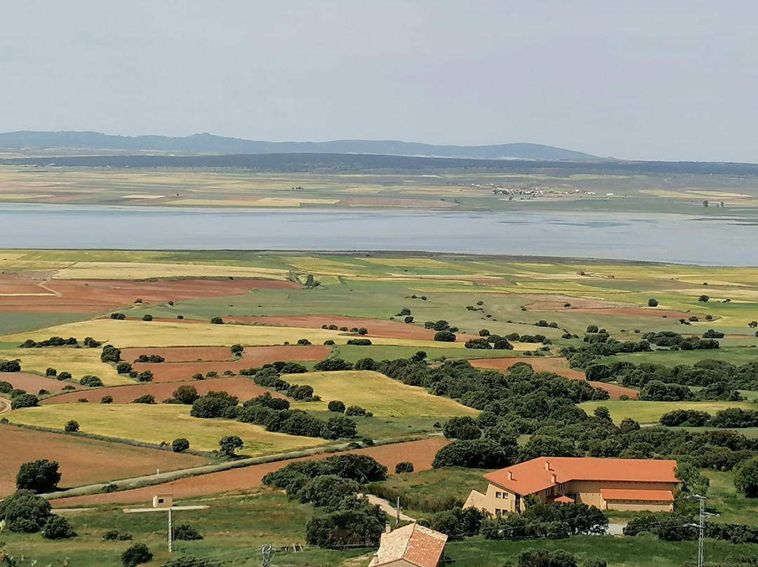 Reserva Natural de la Laguna de Gallocanta景点图片