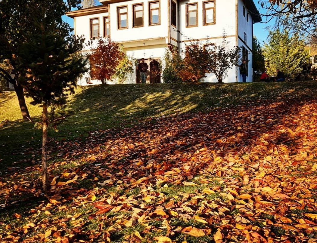 Ozbek At Çiftliği-安卡拉必去景点