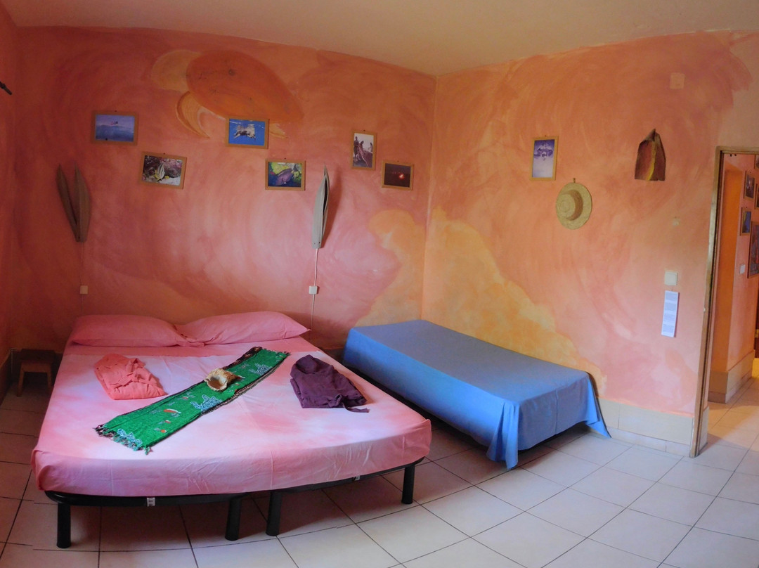 Tortuga Bed & Breakfast主图