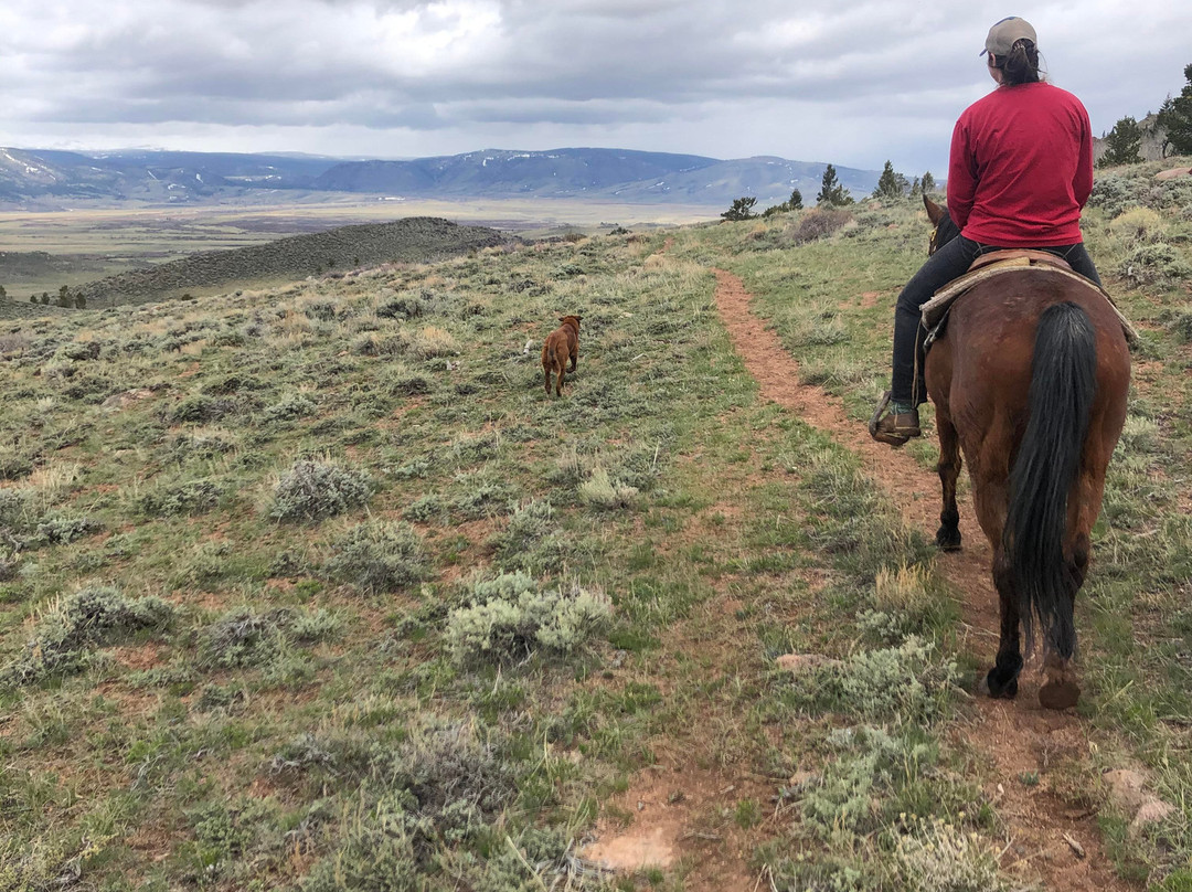 E & H Guide Service-拉勒米必去景点