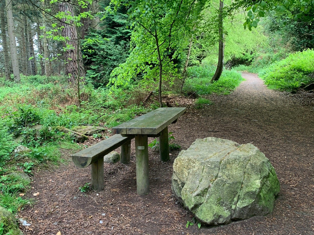 Barnaslingan Woods-Enniskerry必去景点