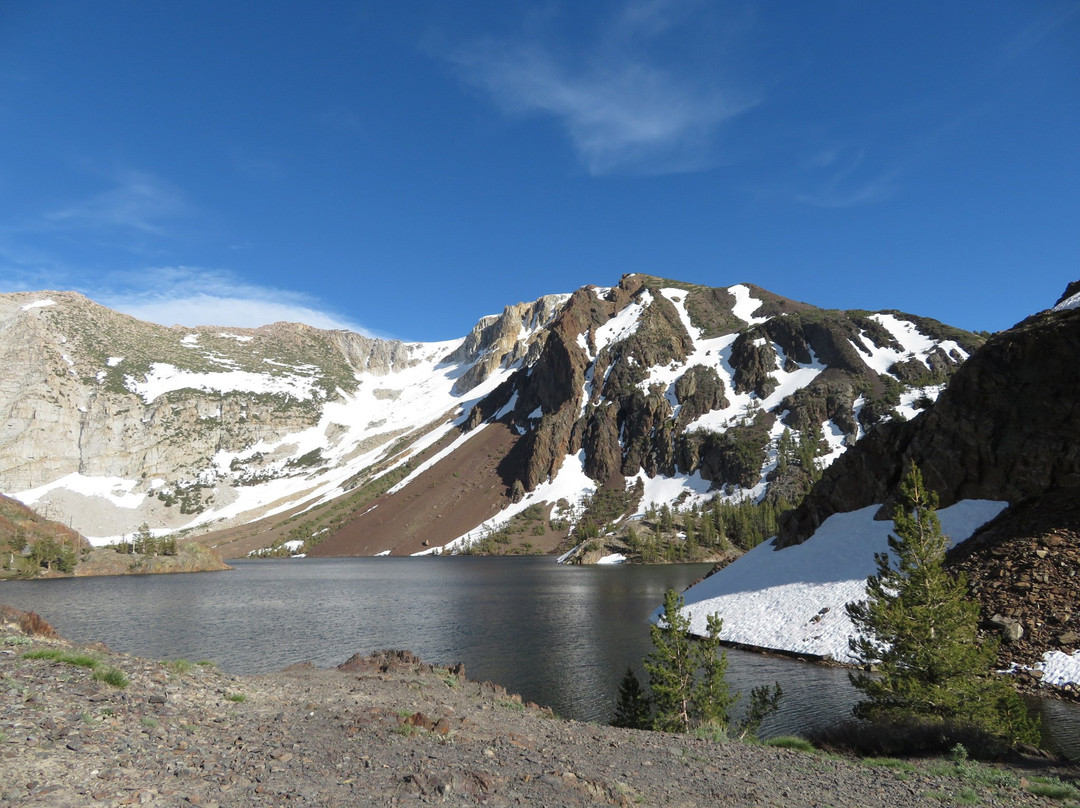 Ellery Lake Lookout-利韦宁必去景点