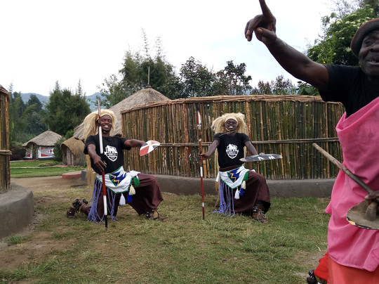 Rwanda Eco-Tours - Short Gorilla Trek-吉佳利必去景点