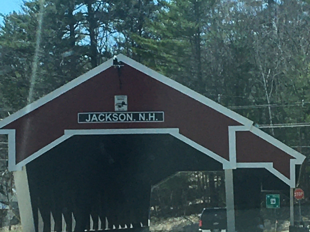 Honeymoon Bridge-杰克逊必去景点