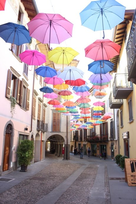 Vecchio Municipio景点图片