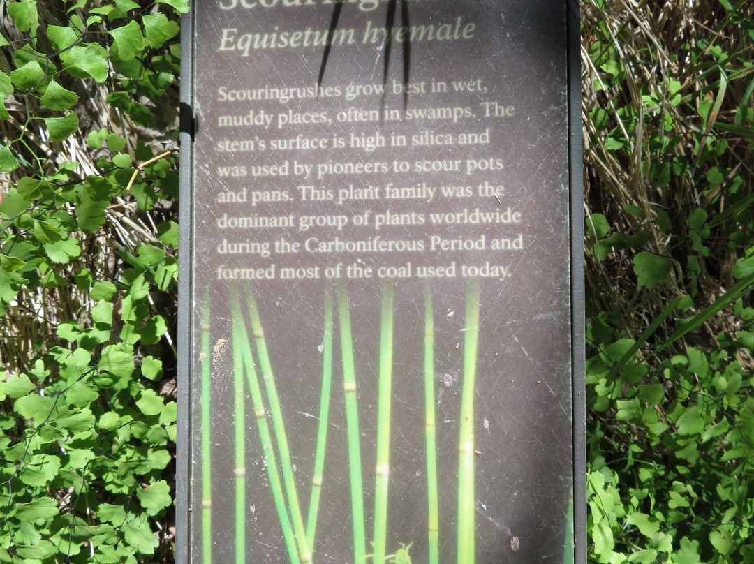 Weeping Rock Trail-锡安国家公园必去景点