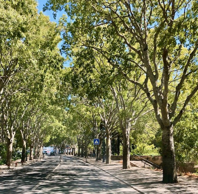 Felicio Loureiro Urban Park景点图片