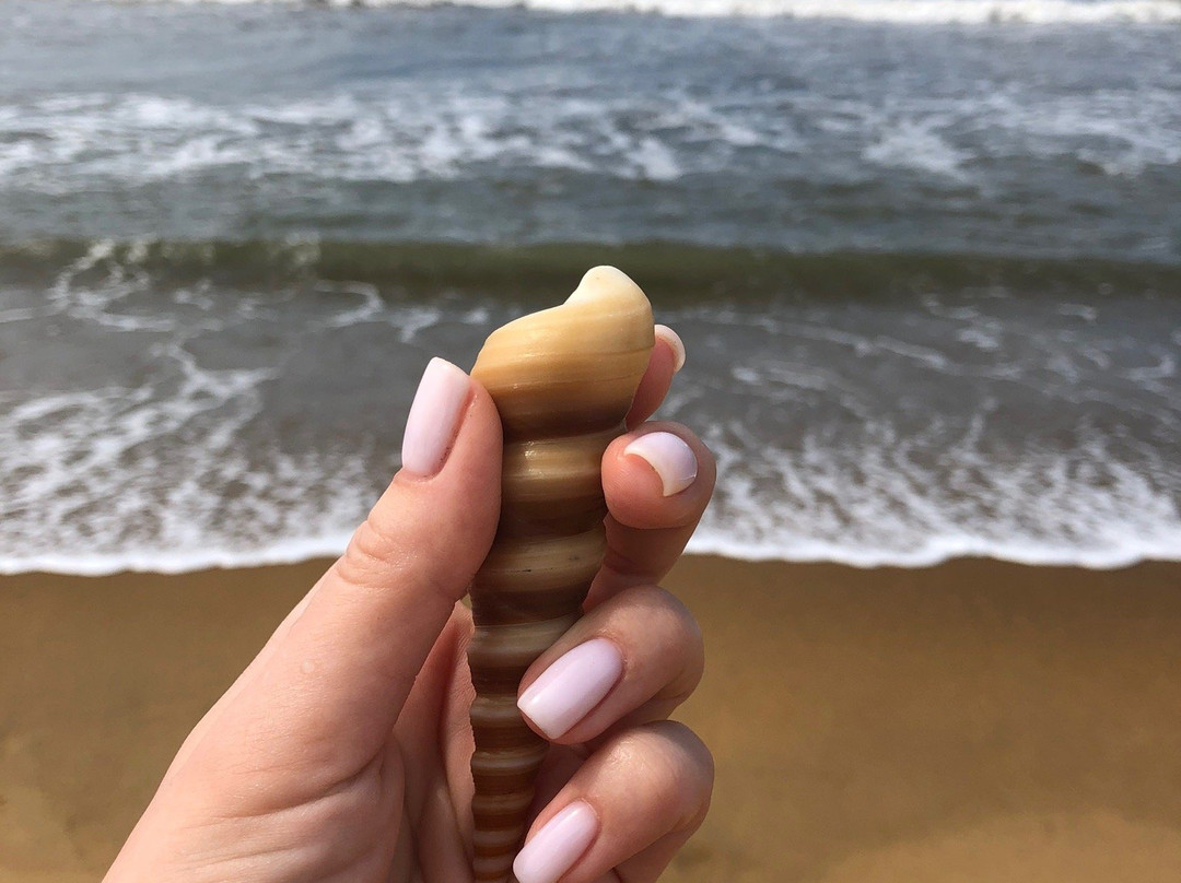 Kalutara Beach-卡卢特勒必去景点