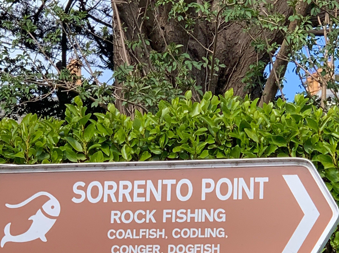 Sorrento Point-达尔基必去景点