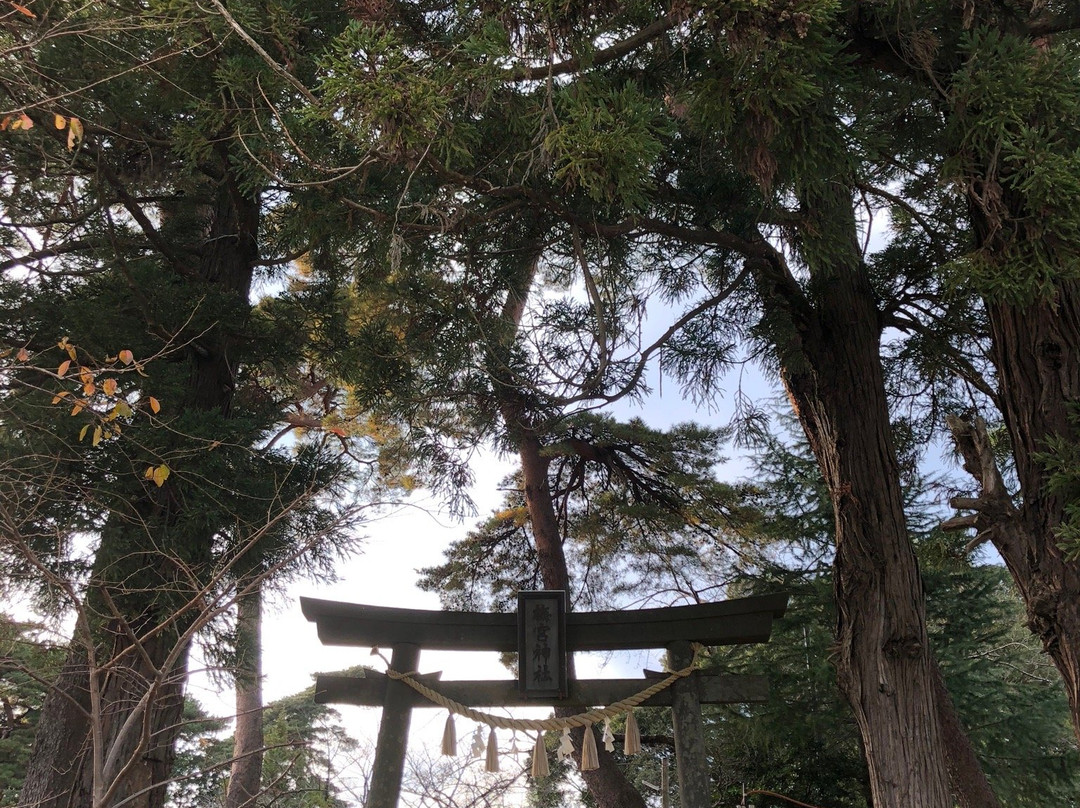 Umenomiya Shrine-盐灶市必去景点