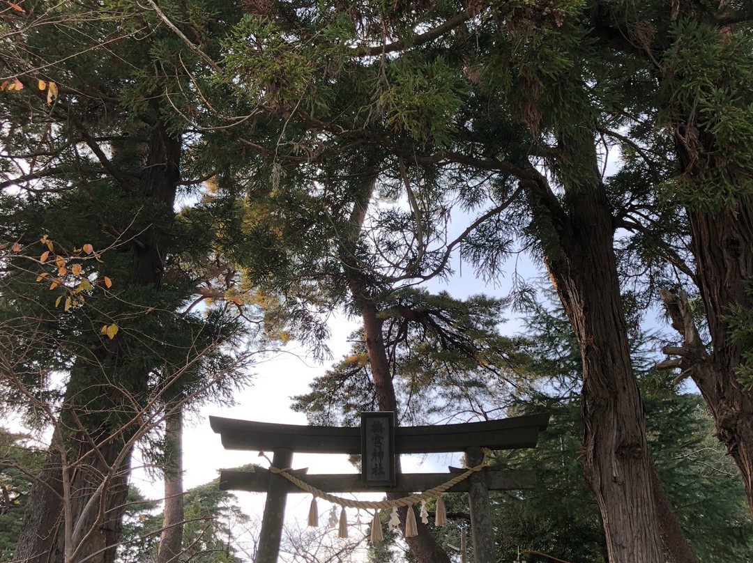 Umenomiya Shrine景点图片