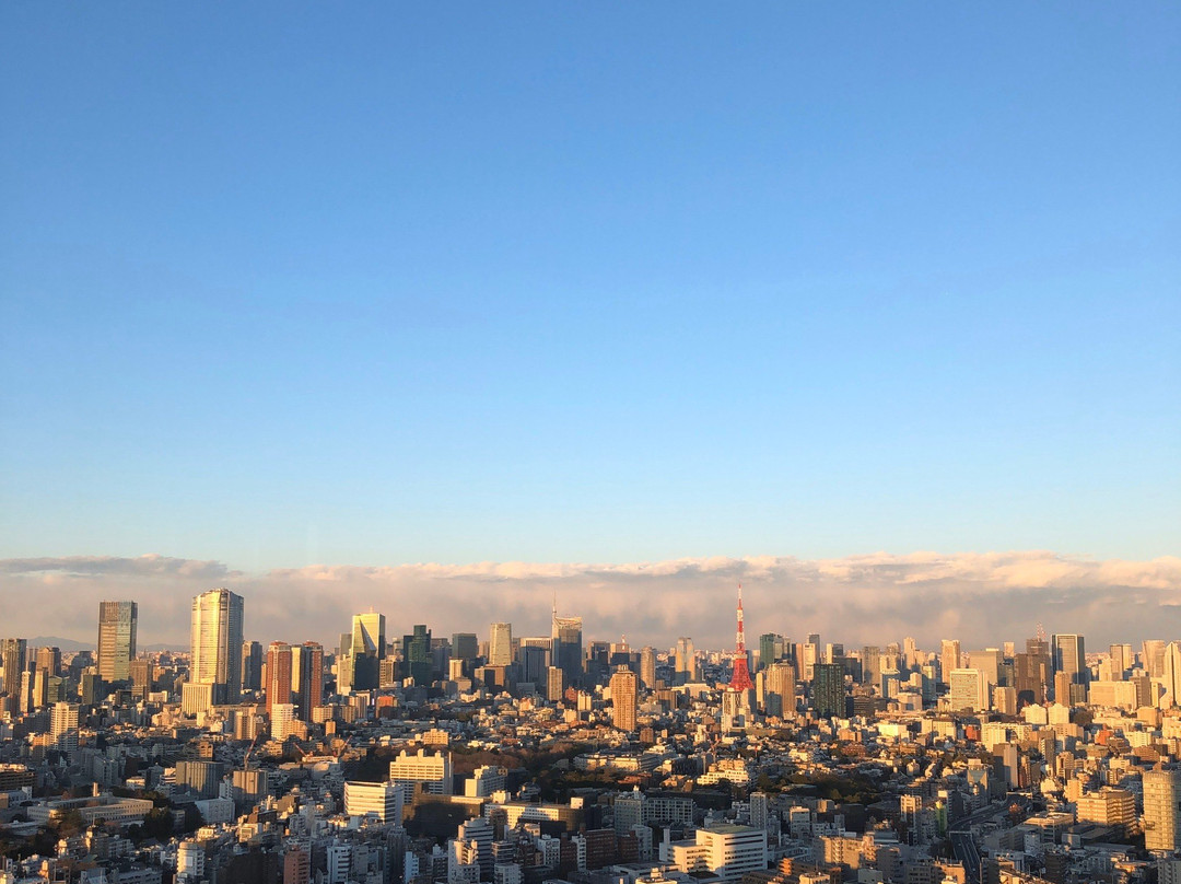 Yebisu Garden Place Sky Lounge-Ebisu必去景点