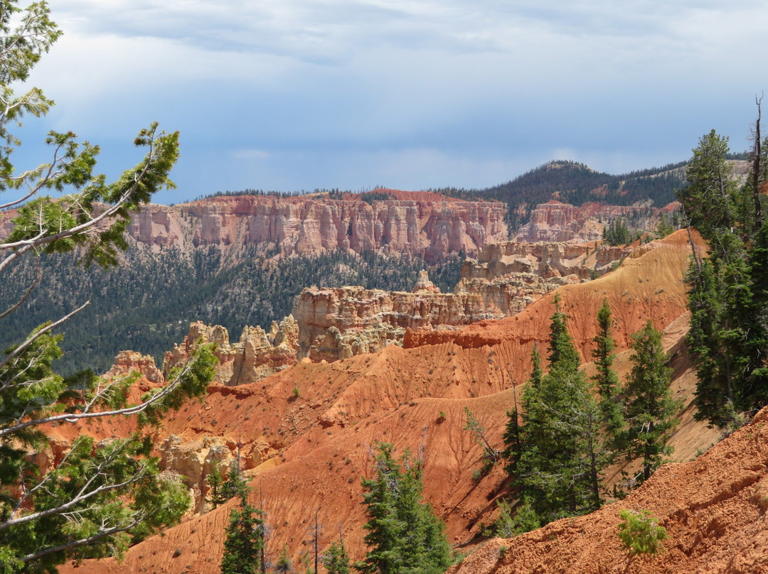 Ponderosa Canyon-布莱斯必去景点