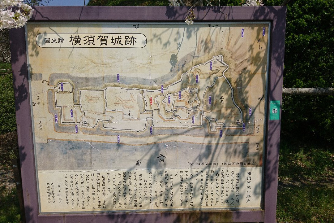 Yokosuka  Ruins Of A Castle　Park景点图片