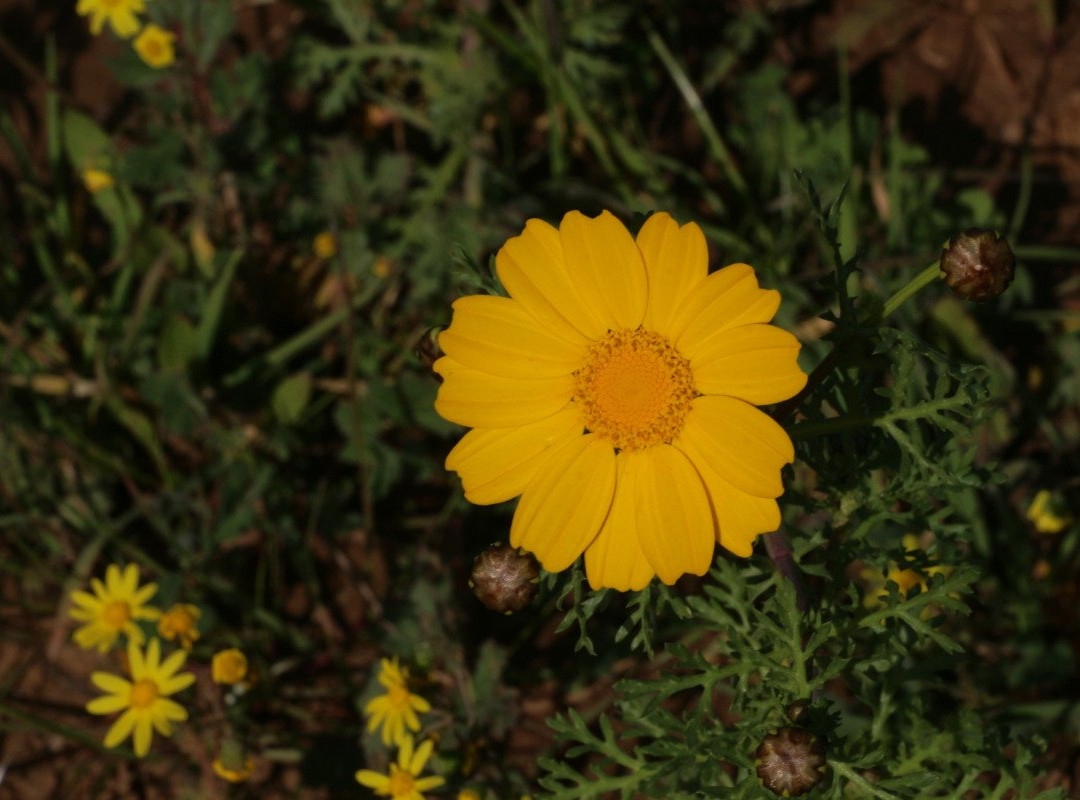 Pura Nature Reserve