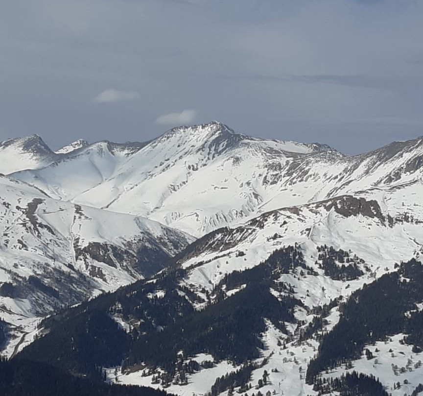 Mariv Ski Arkhyz主图