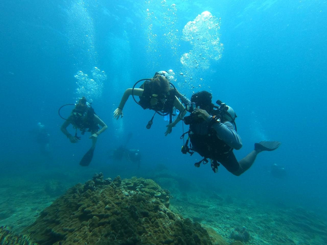 Divers Land Dive Club-Trincomalee必去景点