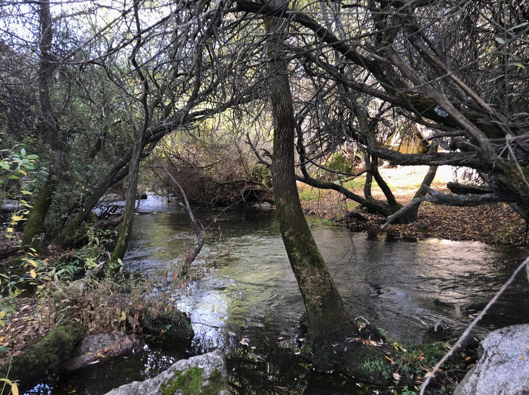 Parque Regional Cuenca Alta Del Manzanares景点图片