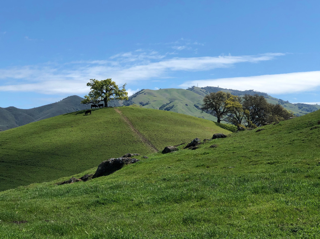 Borges Ranch-核桃溪必去景点